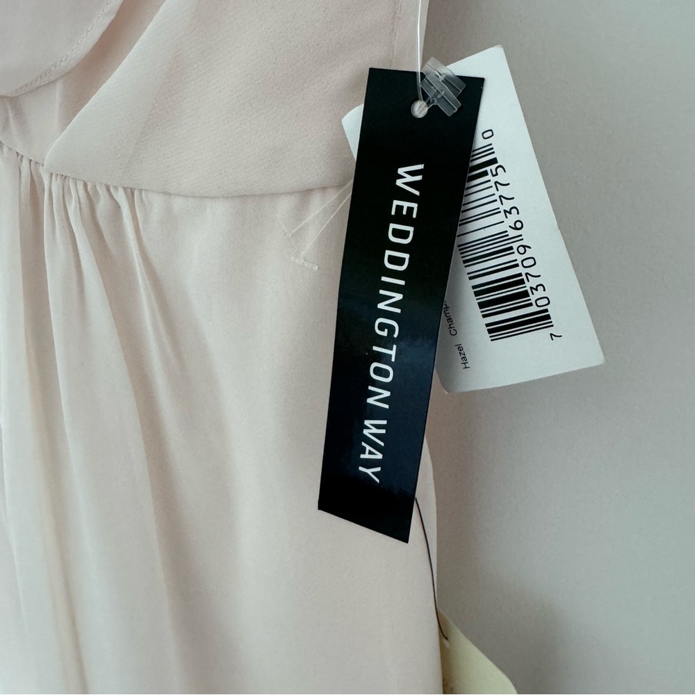 Adrianna Papell Champagne Yvory Blush Crepe Dress - Picture 5 of 12